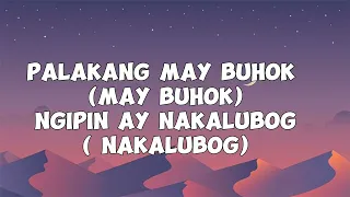 PINK  PALAKA - ANDREW E (LYRICS)