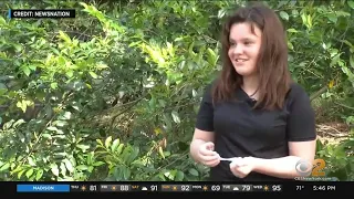 11-Year-Old Florida Girl Speaks Out After Attempted Kidnapping