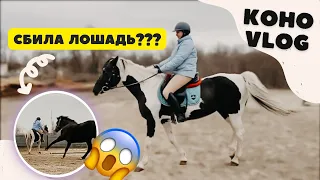 VLOG из конюшни | В МЕНЯ ВРЕЗАЛАСЬ ЛОШАДЬ?! | это было ОЧЕНЬ СТРАШНО | первое занятие на плацу