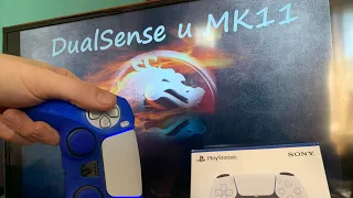 Годится-ли dualsense для игры в Mortal Kombat 11? dualsense плюсы и минусы, использование на PC