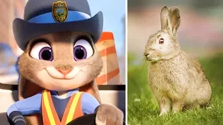 🐇 ЗВЕРОПОЛИС МУЛЬТИК 🦊ВСЕ ПЕРСОНАЖИ МУЛЬТИКА В РЕАЛЬНОЙ ЖИЗНИ 🐰