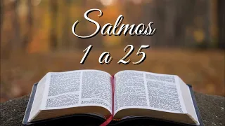 BÍBLIA SALMOS 1 A 25