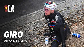 Stray Dog Crashes Remco Evenepoel | Giro d'Italia 2023 Stage 5 | Lanterne Rouge Cycling Podcast