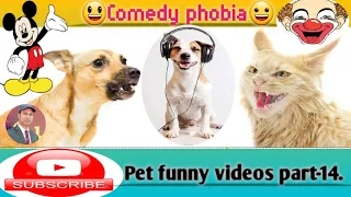 😃Pet funny videos part-14/🐈‍⬛vs🐕😁Animalspetvideos#petsim