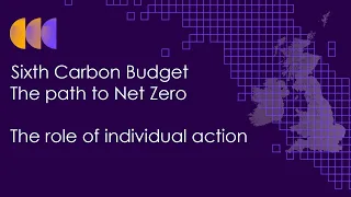 The Path to Net Zero: The role of individual action