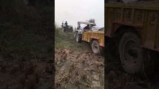 The Shocking Incident That Happened During Tractor Tipping 🥵😱 #viral #tractor #short #farmartrac