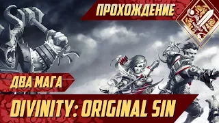 Два мага - Divinity Original Sin #1