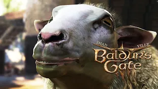 Мистра и Выжившие ⚔ Baldur's Gate 3 Прохождение игры #52