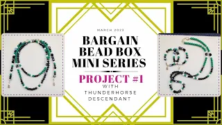 Project #:1 March 2023 Bargain Bead Box Mini Series with Thunderhorse Descendant