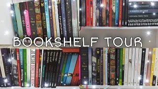 BOOKSHELF TOUR 2021 | tour pelos meus livros