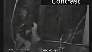Home Security Camera Records Creepy Alien Creature In A Backyard!!