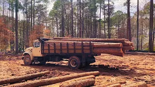 No Logging Truck No Problem! Dump Truck Loaded And Hauled Out