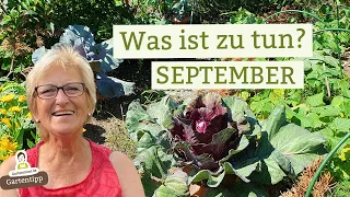 Die wichtigsten Gartenarbeiten im September - Damit du nichts vergisst