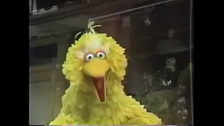 Big bird talking