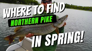 Spring Pike Fishing Locations