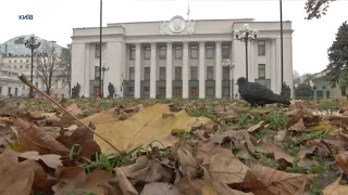 Карантин вихідного дня, касові апарати для ФОПів, конституційна криза: що задумали депутати