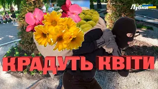 МАСОВЕ ВИКРАДЕННЯ КВІТІВ З ПАРКУ "КУЛЬТУРИ ТА ВІДПОЧИНКУ"