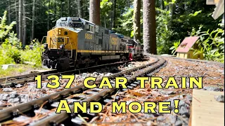 G Scale Trains! 137 Cars and More @RockwallCanyonRR