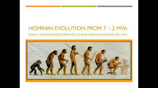 Hominin Evolution, Part 1: The First 5 Million Years