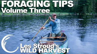 Wild Harvest Foraging Tips  Vol 3 | Les Stroud | Wild Harvest TV series