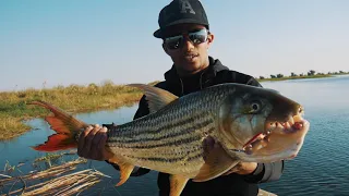 Tigerfishing Zambia