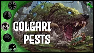 Golgari (Witherbloom) Pests | Magic Arena Standard Meta Deck | MTG | MTGA | MTG Arena