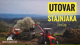 IMT 539 i Ferocoop grajfer utovar stajnjaka