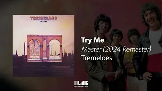 The Tremeloes - Try Me (2024 Remaster) [Official Audio]