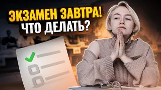 Что делать за день до сдачи экзамена? Советы от Елены Зеленской | Биология ОГЭ Умскул