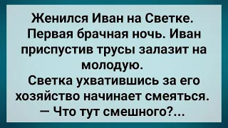 Жених Приспустив Трусы Залез на Молодую! Сборник Свежих Анекдотов! Юмор!