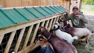 this DIY Hay Feeder HACK It's gonna save us $100s on Wasted HAY