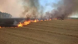 Großbrand in Limsdorf am 04.07.2018