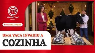 Uma VACA no estúdio? | Especial de 10 anos | BAÚ MASTERCHEF