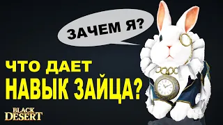 🐇Питомец Пушинка. Сопротивление штрафам или что дает заяц в Black Desert (MMORPG)