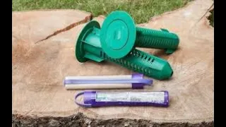 Termite bait stations. Do they work?
