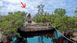 Fishing A Destroyed Island LOADED With Fish!