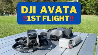 DJI Avata Cinewhoop Pro-View 1st Flight! 1st Flight of The All New DJI Avata!