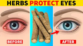 6 Herbs That Protect Eyes and Repair Vision | Part 2