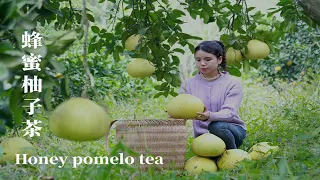 The pomelo in the mountains are big and sweet, pick back to make honey pomelo tea蜂蜜柚子茶 ▎Lizhangliu