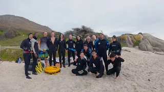 Snorkel Adventures 2, Cape Town