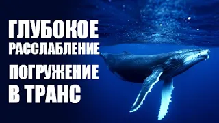 Медитация ГЛУБОКОГО РАССЛАБЛЕНИЯ музыка ✧ Пение китов под водой ✧ Singing whales underwater