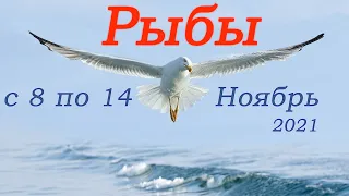 Рыбы Таро прогноз с 8 по 14 ноября 2021