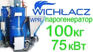 Работа твердотопливного парогенератора Вихлач ВПР 100 кг пара с автоматической подачей топлива