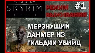 Skyrim SE - Режим выживания - 1 серия - Данмер-убийца из Темного Братства
