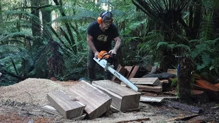 blackwood - timber for guitars