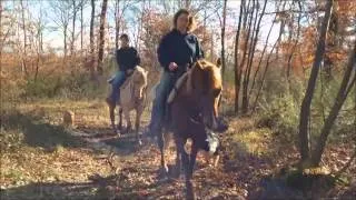 Passeggiata a cavallo in inverno al RANCH RICAVO