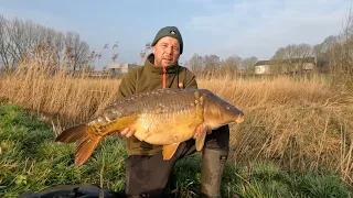 Pêche de la carpe en canal / La lys Vol1