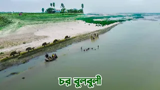 গাইবান্ধার নদীর বুকে বুলবুলীর চর || Panorama Documentary