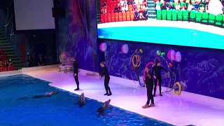 Dubai Dolphinarium - Oct.. 2018 - Part 4