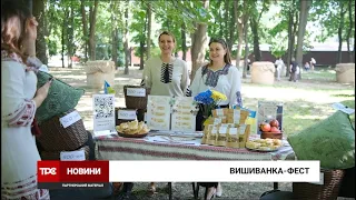 ВишиванкаFest: у селі Мирне відбувся благодійний фестиваль